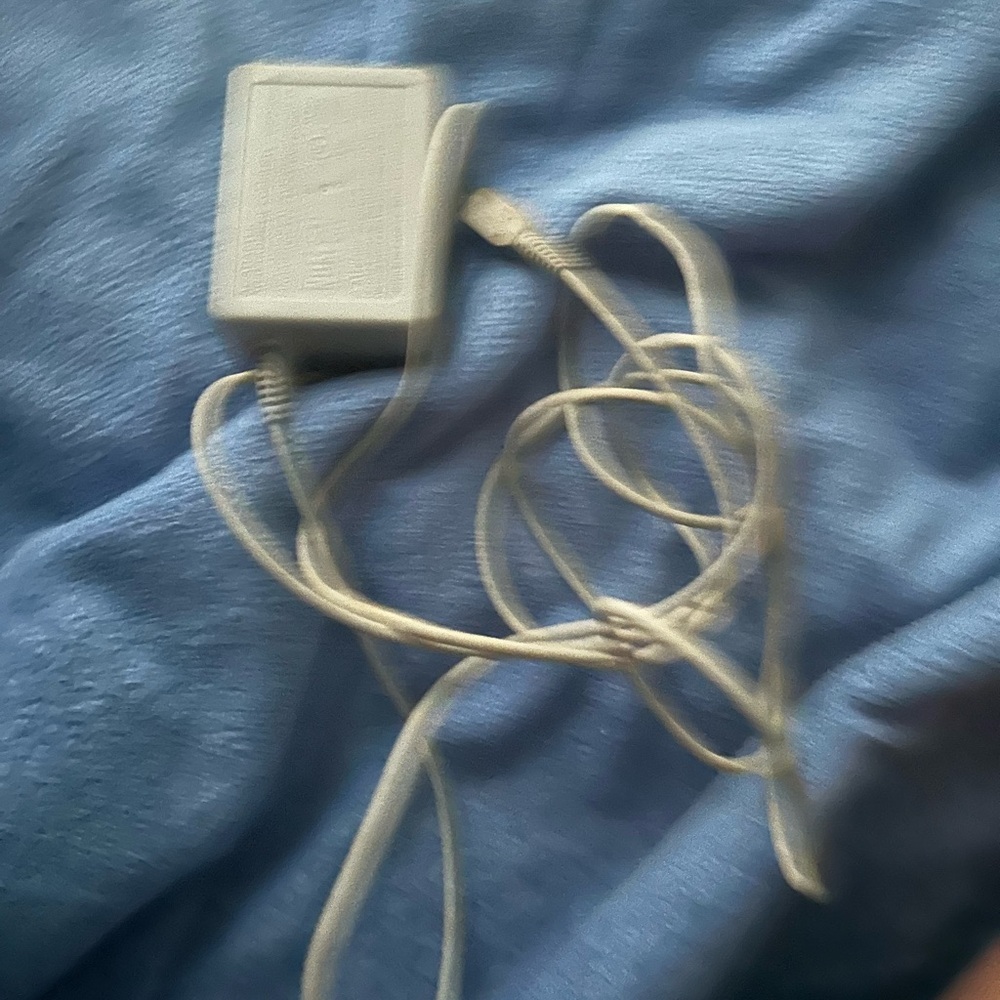 Nintendo ds charger